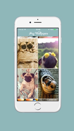 Pug Life HD - PawPapers(圖3)-速報App