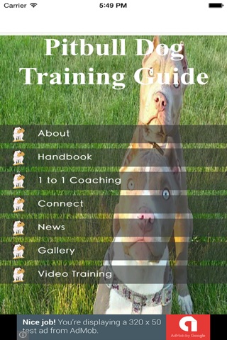Pitbull Dog Training Guide screenshot 3