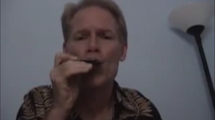 Play The Blues On Harmonica screenshot-4