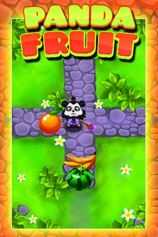Ninja Panda Fruit Land screenshot 3