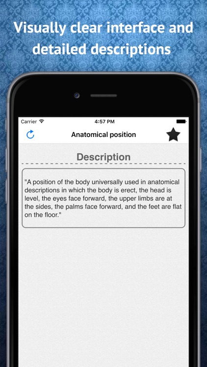 Human Anatomy Dictionary