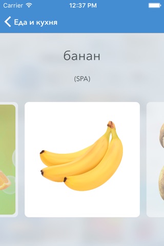 Visual Dictionary — español–ruso diccionario ilustrado con traducción y pronunciación screenshot 3
