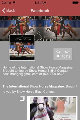 Show Horse screenshot 4