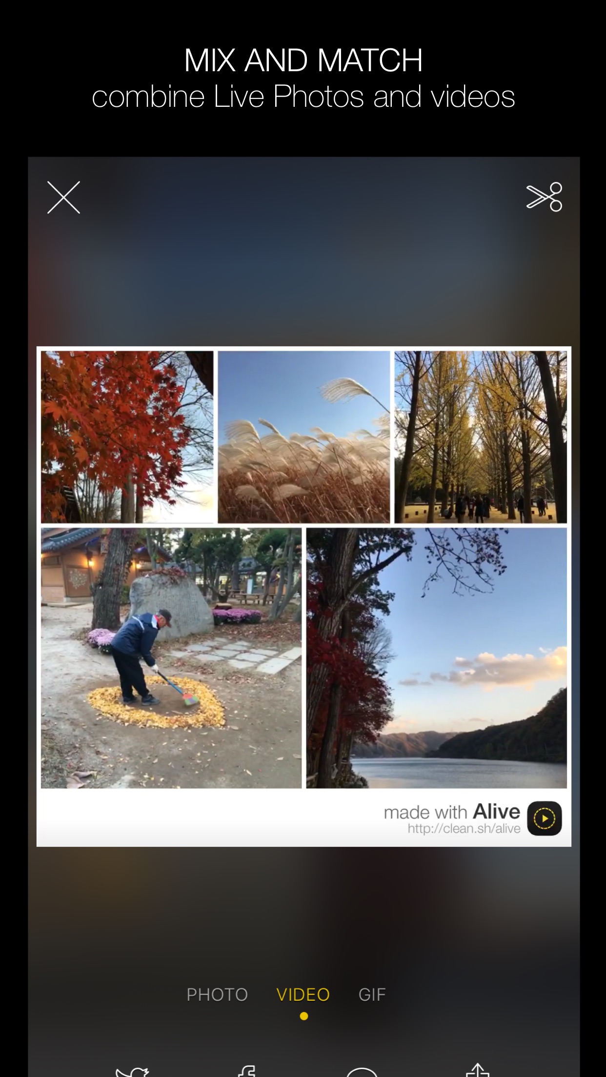 Screenshot do app Alive - Create & Share Animated Collages for Live Photos and Videos