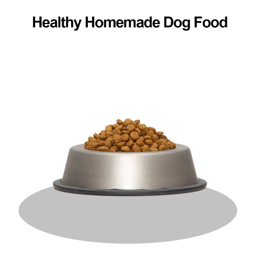 Healthy Homemade Dog Food icon