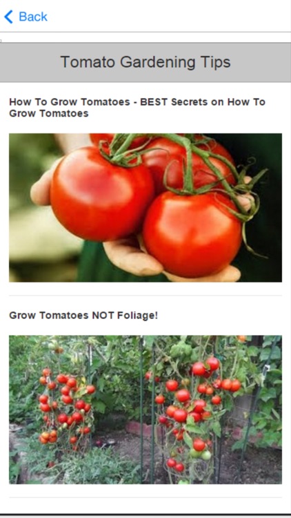 Gardening for Beginners - Simple Gardening Tips and Tricks screenshot-3