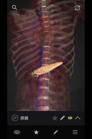 teamLabBody-Internal Organs- screenshot 4