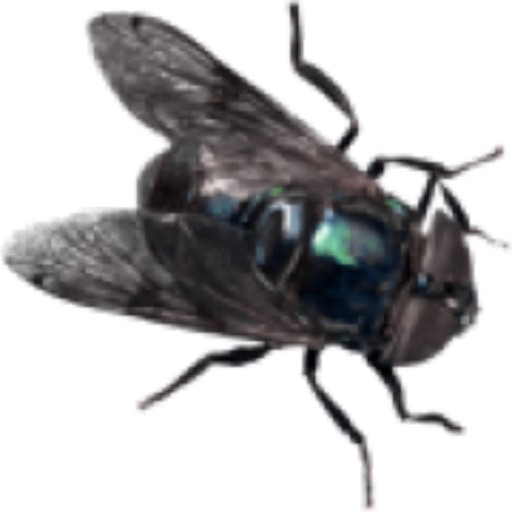 FARfly Game Icon