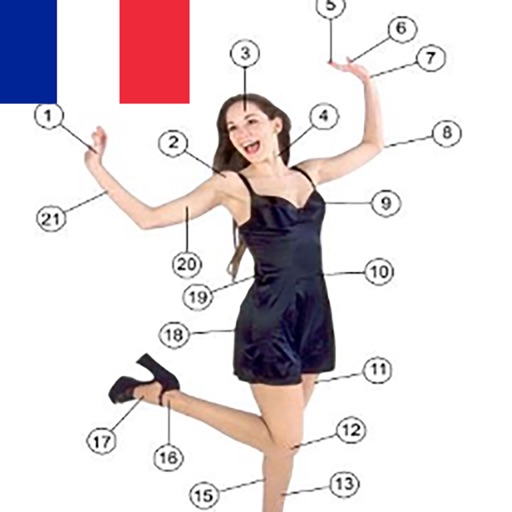 Learn Body Parts in French iOS App