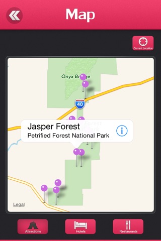 Petrified Forest screenshot 4