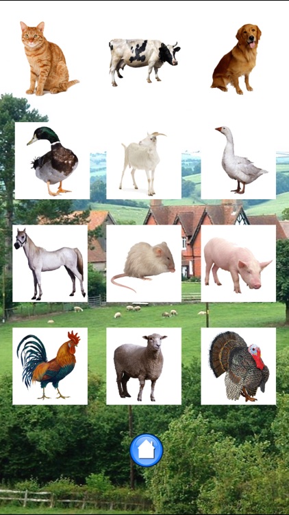 Farm animals...