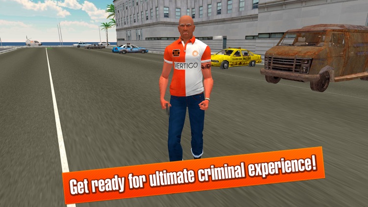 California Car Theft Race 3D