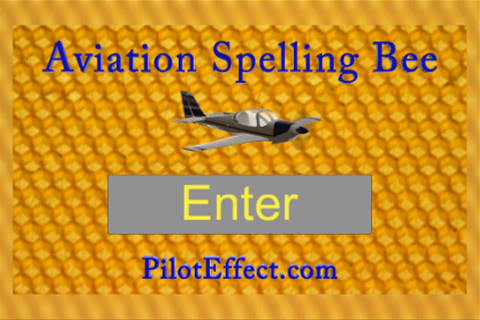 Aviation Spelling Bee screenshot 2