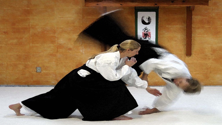 Aikido 2016 screenshot-3