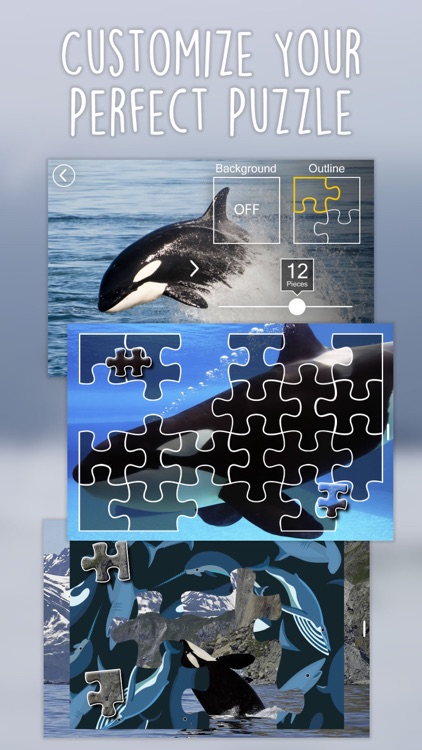 Orca Puzzles for Kids Jigsaw Wonder Edition