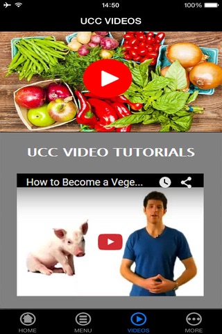 Becoming Easy Vegetarian Guide & Advice - Benefits & Reasons screenshot 3