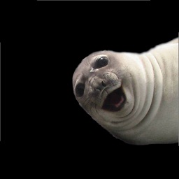 Selfie Seal