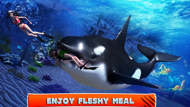 Killer Whale Beach Attack 3D(圖4)-速報App