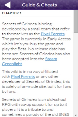 PRO - Secrets of Grindea Game Version Guide screenshot 2