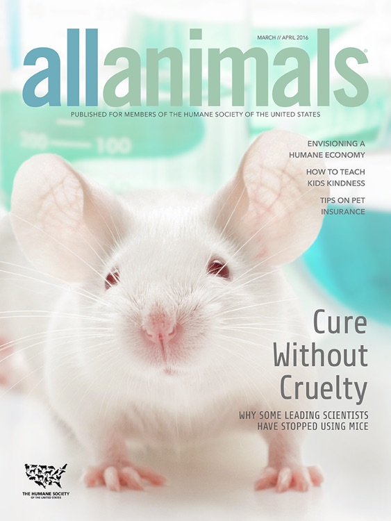 All Animals Magazine
