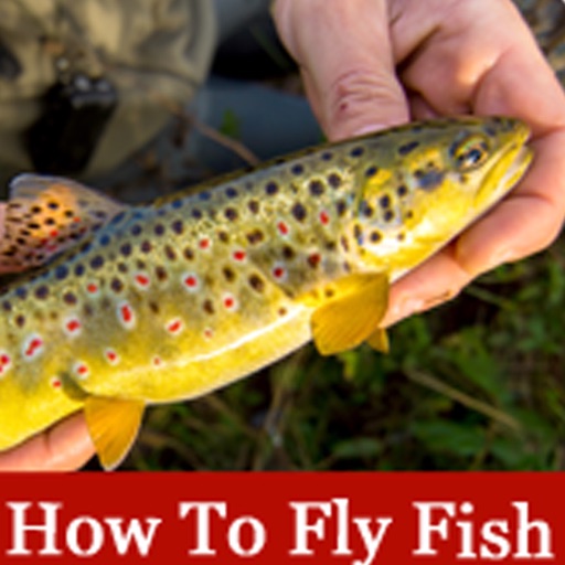 How To Fly Fish