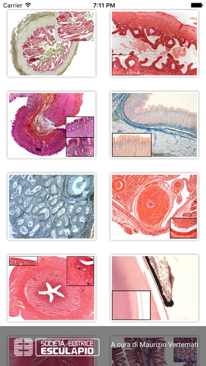 Diagnosi di Anatomia Microscopica