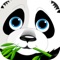 Find the Missing Baby Panda Fun Run in Bamboo Land