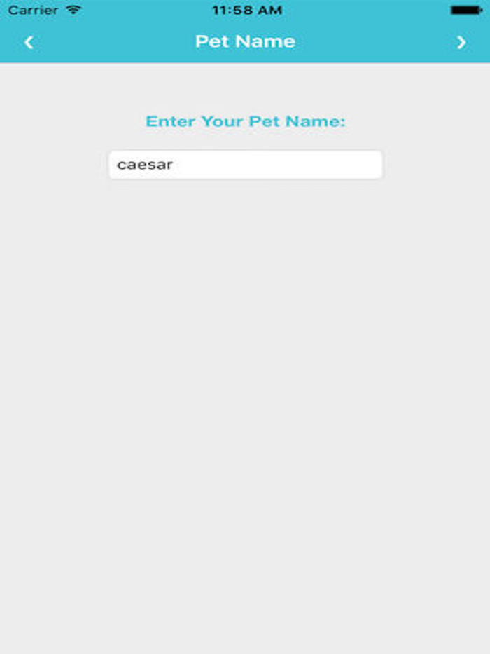 Pets Care App