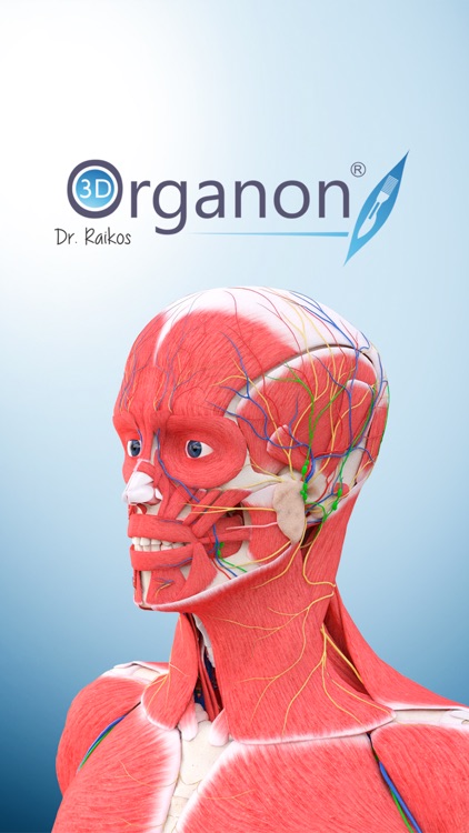 3D Organon Anatomy - Skeleton, Bones, and Ligaments screenshot-4