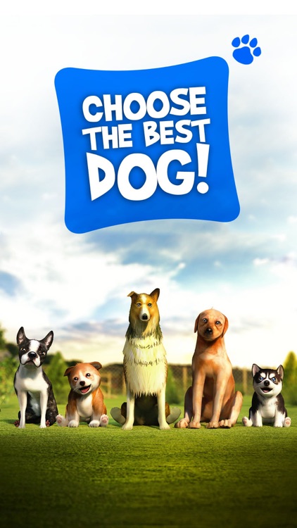 Dog Simulator 2015 screenshot-2