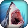 Hungry Shark Safari Attack : A Revenge of the Sea