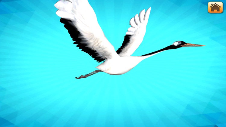 3D LEARNING CARD BIRDS screenshot-4