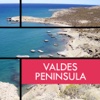 Valdes Peninsula Travel Guide