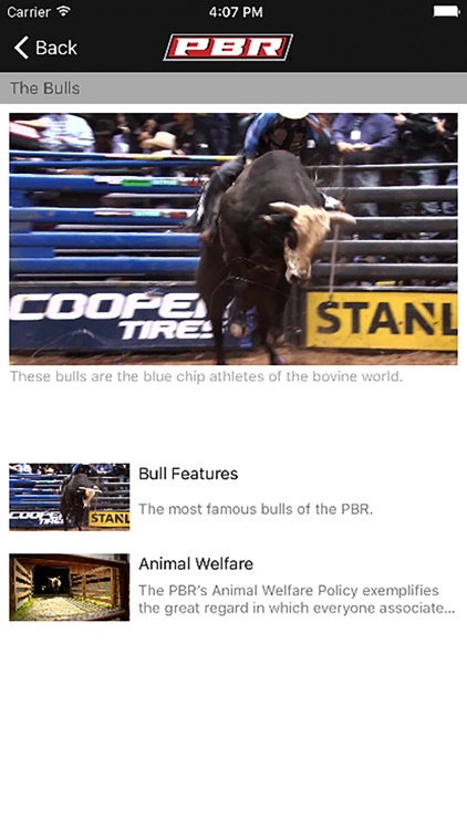 PBR Live