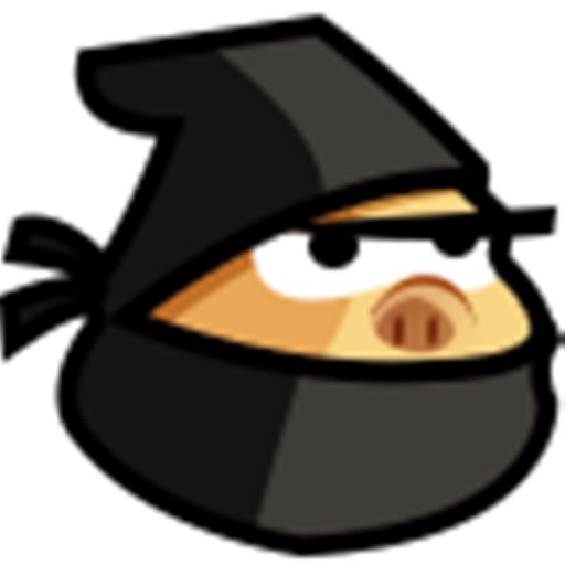 Ninja Luncher icon