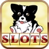 Indoor Pet Vegas : Free Casino Pokies & Jackpot Game Free!