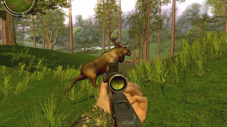 Wild Hunt Adventures 3D - Hunting Simulation