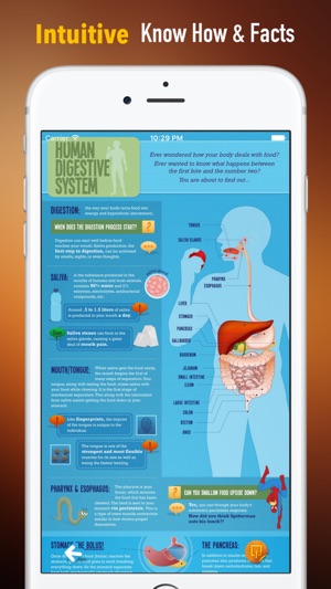 Digestive Disease 101: Tutorial with Glossary and News(圖1)-速報App