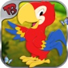 birds rescue - Take care for your innocent Bird  - care & dress up kids game