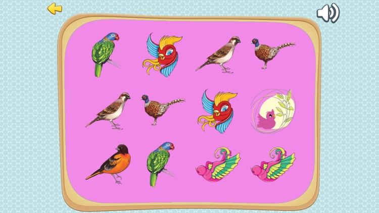 Improve Your Kids Brain With Matches Bird Cards