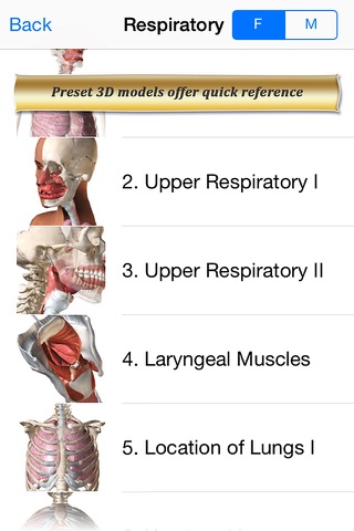 Respiratory Anatomy Atlas: Essential Reference for Students and Healthcare Professionals screenshot 2