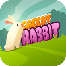 Activities of Greedy Rabbit Bunny