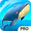 Whale or Shark Pro