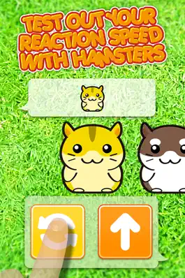 Game screenshot Hamster Dojo - Best Fun Pocket Games Play With My Littlest Pet Hamsters apk