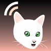 KittyTalk: Lolcat Edition