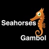 Seahorses Gambol