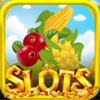 Lucky Farm Slot Machine: Best Free Big Lottery Wins, Jackpots and Bounses