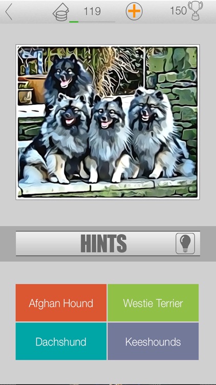 Dogs Quiz - Guess The Hidden Object that What’s Breeds of Dog?