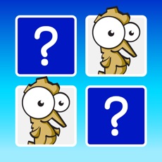 Activities of Sea . The Match Game