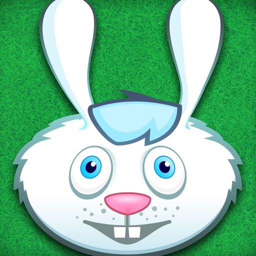Rabbit Rush Run icon
